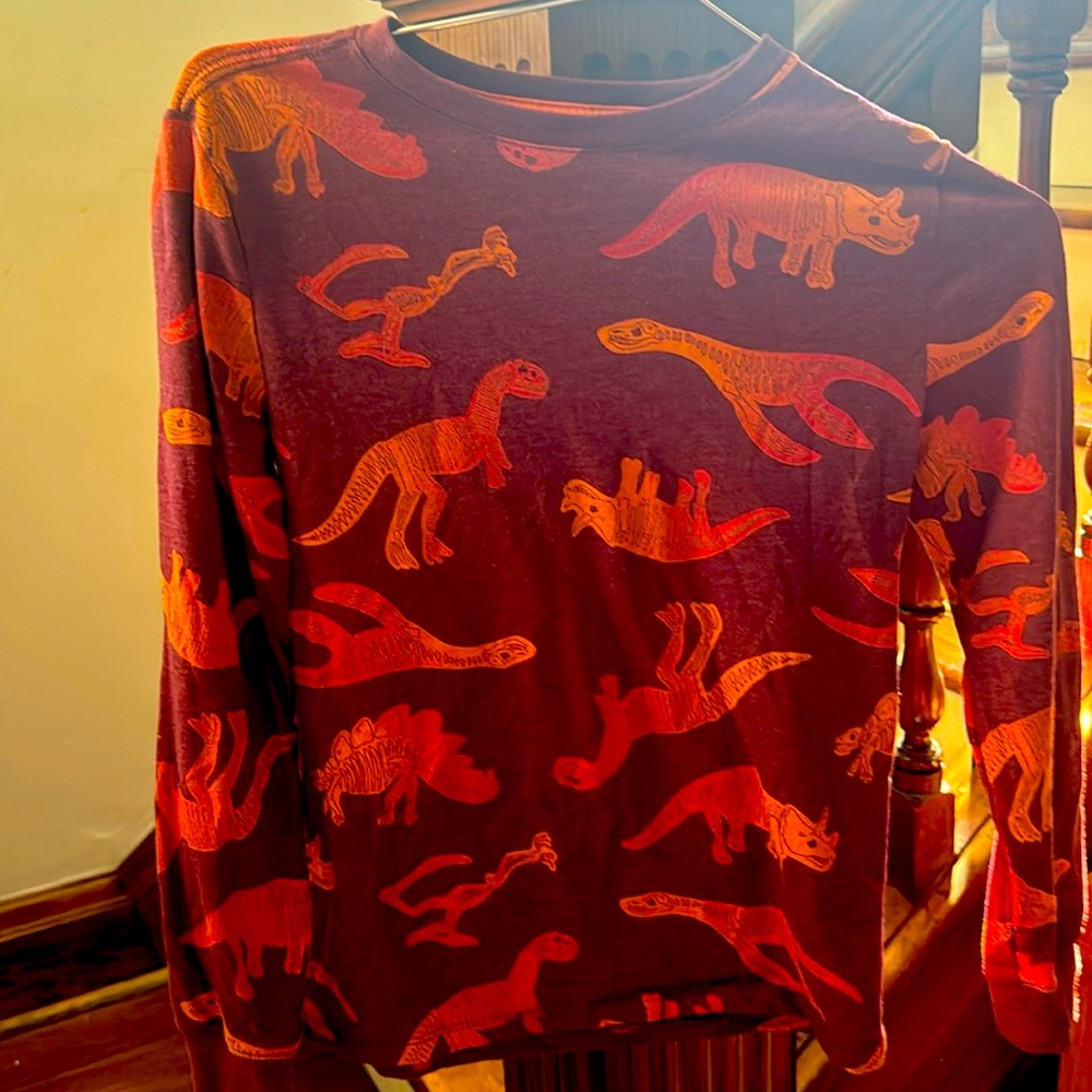 Kids cat and Jack size M 8/10 dinosaur long sleeve shirt
